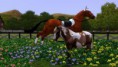 /album/fenykepgaleria/screenshot-24-jpg/