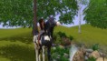 /album/fenykepgaleria/screenshot-3-jpg/
